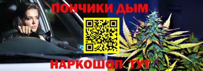 сатива Можга