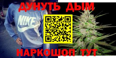 сатива Можга