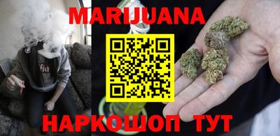 сатива Можга